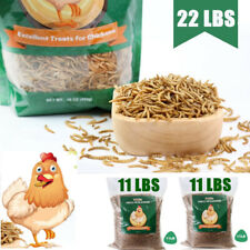 22 lbs Dried Mealworms Non Gmo -Chicken Treats Duck Feed Organic Meal Worms Bulk