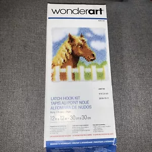 WonderArt 12"" x 12"" Pony Horse Gancho Kit Completo + 2 Herramientas #426134 - Imagen 1 de 10