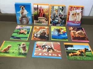 11 CARDS Avanti Press Funny ANIMAL Humorous Birthday CardS - Picture 1 of 13