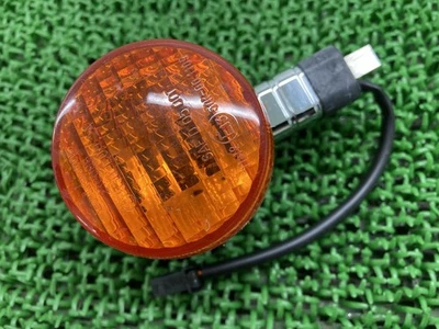 Intermitente monoplaza Ducati Sport 1000 usado (530.1.011.2A) para GT1000 Tou... Foto 1 de 4