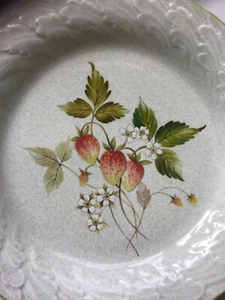 MIKASA LAUREL STRAWBERRY FIELDS 11" PLATE - Picture 1 of 6