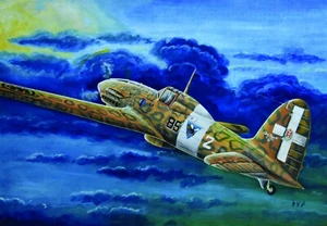 TAURO MODEL TM301 MACCHI M.C.202 FOLGORE SCALA 1:48 - Foto 1 di 7