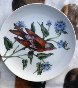 Piatto da dessert singolo vintage 1992 Fitz & Floyd China Songbird Rosy Finch 8" Giappone - Foto 1 di 2