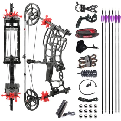 Archery Compound Bow Short Axis 40-65lbs Steel Ball BowFishing Bow Shoot Hunting - Image 1 of 4