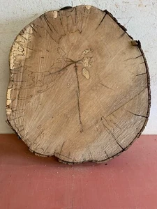 Baumscheibe, Holzscheibe, 50/5cm Tischplatte - Bild 1 von 1