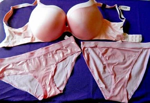 NWT Victoria's Secret 34DD Push up BRA SET+ 2 panty Light Pink Gold size- M - Picture 1 of 4