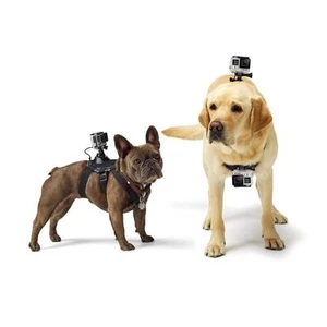 Pet Dog Fetch Harness Chest&Back Strap Belt Mount For GoPro Hero 3 5 6 7 8 9 10 - Picture 1 of 10
