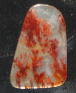 Carey Plume Agate freeform Cabochon 9.5 carats - Picture 1 of 4