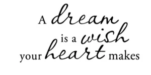 A Dream is A Wish Your Heart Makes Vinyl-Aufkleber - Bild 1 von 2