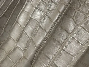 Wild Alligator Belly Hide Professionally Tanned - Picture 1 of 13