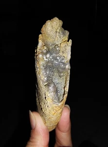 RARA MADERA PETRIFICADA ÁSPERA, FÓSIL DE CALCEDONIA BOTRIOIDAL DE JAVA INDONESIA, 93 MM - Imagen 1 de 7