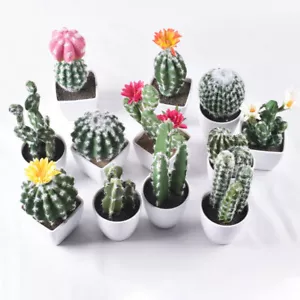 Mini Artificial Succulents Plant Fake Cactus Garden Office Miniature Home Decor - Picture 1 of 31