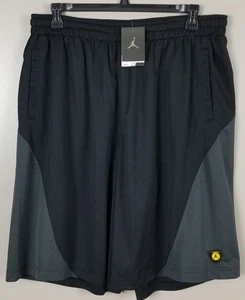 PANTALONES CORTOS DE BALONCESTO JORDAN XIV RETRO 14 LAST SHOT Y2K NUEVOS 437319-010 (TALLA 2XL) - Imagen 1 de 11