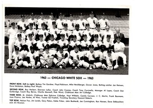 ORIGINAL 1963 CHICAGO WHITE SOX 8X10 TEAM PHOTO WILHELM FOX DeBUSSCHERE - Picture 1 of 2