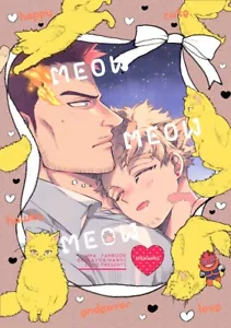 NEU Yaoi My Hero Academia Endeavor Hawks Doujinshi Doujin EndHo Boku kein BL - Bild 1 von 3
