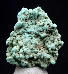 TURQUOISE Specimen Natural Authentic Gemstone Nugget RED MOUNTAIN MINE NEVADA - Picture 1 of 3