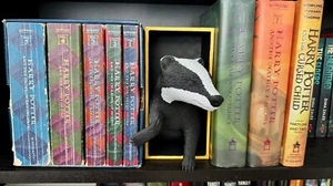 Badger Emerging Book Nook - Picture 1 of 5