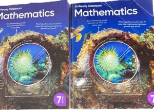 i-Ready Classroom Mathematics Grade 7 Volumes 1 & 2 Workbook - Picture 1 of 2