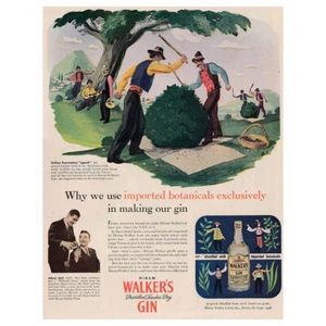 1946 Hiram Walkers Gin: Imported Botanicals Exclusively Vintage Print Ad - Bild 1 von 1