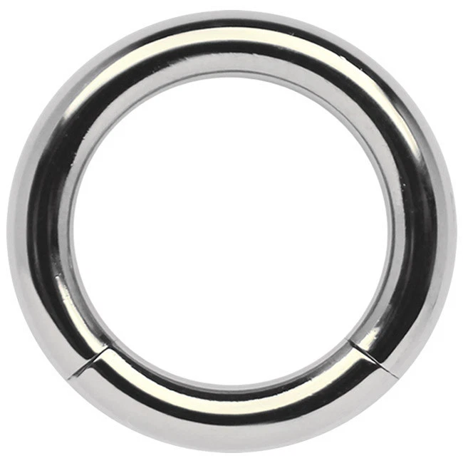 Piercing Titanio Gioiello Intimo Orecchio Setto Anello Segmentato 6,0mm Liscio - Immagine 1 di 1