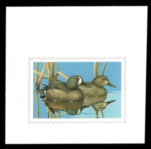 WI6 Wisconsin State Duck Stamp Proof - Picture 1 of 2