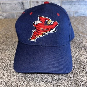 Vintage Iowa State Cyclones Fitted 7 1/8 Hat Cap 90s 00s Zephyr Blue Wool Blend - Picture 1 of 9