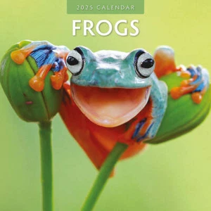 FROGS - 2025 CALENDAR - BRAND NEW - 423899 - Imagen 1 de 2
