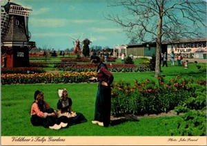 Holland Michigan Little Netherlands Veldheer's Tulip Garden c1970 Postcard - Picture 1 of 2