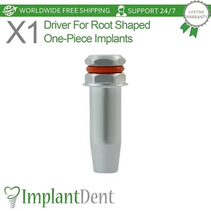 1 x driver esagonale per strumento per apparecchio dentale compressore a forma di radice - Foto 1 di 4