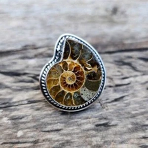 Ammonite Fossil Gemstone 925 Sterling Silver Gift for Her Ring Jewelry All Size - Picture 1 of 9