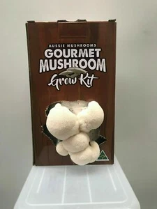 25ml Lions Mane (Hericium erinaceus) Mushroom Liquid culture Aussie Mushrooms - Picture 1 of 4