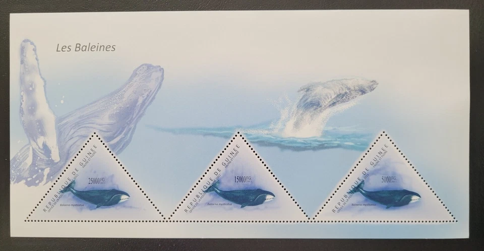 Гвинея 2011 / Морская жизнь - киты / 3v ms - Изображение 1 из 1