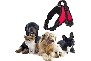 Pettorina imbracatura per cane maglia aperta taglia XS extrasmall 30-42cm 3-5kg - Foto 1 di 4