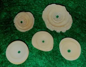 (5) Original Cherokee Indian Drilled Conch Shell Trade Beads Fort Robinson Tenn - Picture 1 of 3