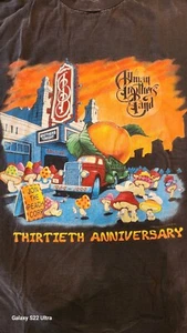 Vintage 1999 Allman Brothers Band Tour Shirt 30th Anniversary Concert Mushroom - Picture 1 of 19
