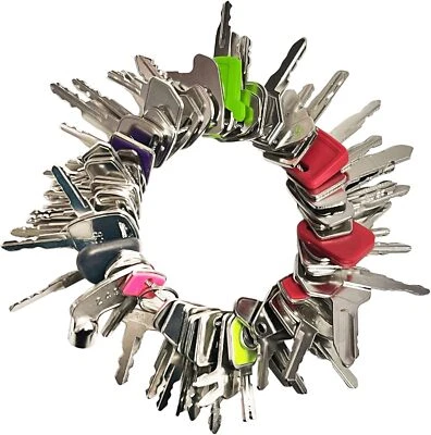 60 Heavy Equipment Keys Set Hyster Komatsu Kubota Yanmar Daewoo Volvo JCB CAT JD - Image 1 of 4