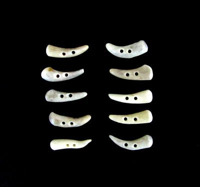 ANTLER BUTTONS,1  1/4"TOGGLES,TINES,10 HOOKED,CURVED PIECES,3/32" HOLE,114-28 - Image 1 of 4