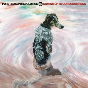 Pure Reason Revolution Coming Up to Consciousness (Vinyl) - Picture 1 of 2