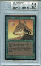 MTG Arabian Nights Wyluli Wolf Light BGS 8.5 NM/MT+  Magic Card Amricons 0932