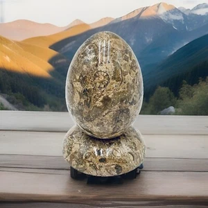 Polished Stone Egg Brown Tan Marblel Gemstone Mineral Natural & Matching Stand - Picture 1 of 11