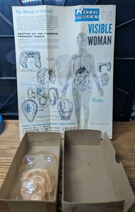Vintage Renwal Die sichtbare Frau 804 optional Wunder der Schöpfung 1960 Teile - Bild 1 von 4