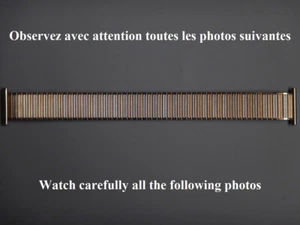 15 16 17 18 19 20 MM BRACELET MONTRE BICOLE ZRC EXTENSIBLE ANSES FIXES N.O.S. - Imagen 1 de 12