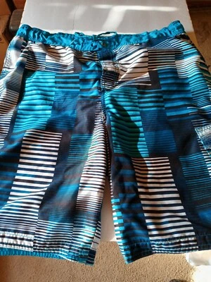 Mens REEBOK SWIM TRUNKS SHORTS Size Lg - Image 1 of 4