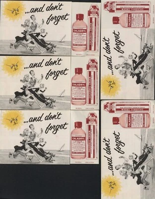 5 -1950 Drug Store Advertising Brochures  Parke Davis & Co CALADRYL Lotion Cream - Image 1 of 2