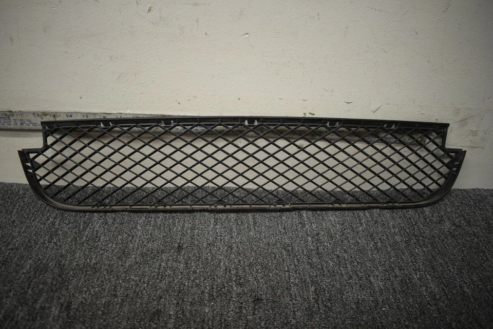 BMW X3 2007-2011 parrilla inferior delantera OEM de fábrica Foto 1 de 4