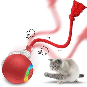 Interactive Cat Toys for Indoor Cats, USB Rechargeable, Fast Rolling Dog Ball... - Picture 1 of 9