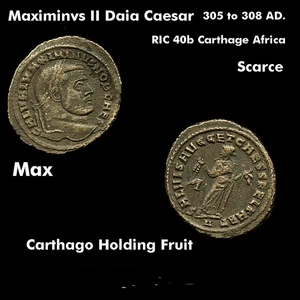 Maximinus II Daia Caesar. Karthago Afrika mit Früchten. Große Münze Afrika Münze - Bild 1 von 1