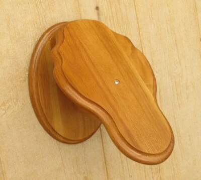 Medium Oak Bear European Skull Mount Wall/Table Pedestal - Image 1 of 2