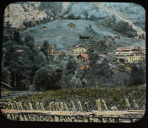 VIEW TOWARDS LAUTERBRUNNEN SWITZERLAND C1890 Magic Lantern Slide PHOTOGRAPH - Picture 1 of 3