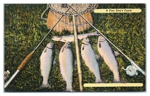 A Fine Day's Catch Fish and Fishing Gear Postcard - Picture 1 of 2